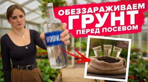 ПРОТРАВКА ГРУНТА ПЕРЕД ПОСЕВОМ
