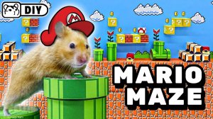 Своими руками — как сделать лабиринт из «Супер Марио» 🍄 Hamster Handcraft 🍄 Хомяк Хомура