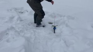 Поимка Форели