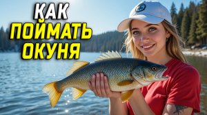 Как поймать окуня