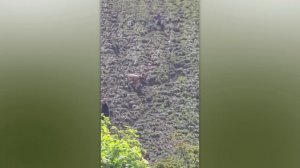 Простое действие привело к катастрофе.