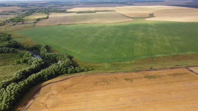 Куркинский район деревня Новотроицкое.