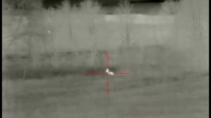 Нарезка выстрелов с тепловизионных прицелов Longot