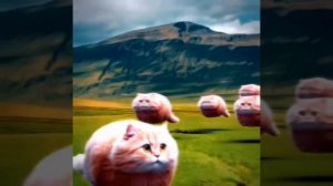 типа тренда