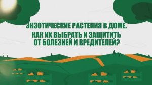 Экзотические растения дома: как выбрать и защитить от вредителей?