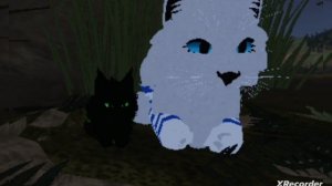 мини информацыя про канал WildBONOS