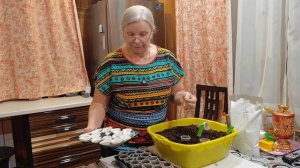 Посевная началась с перцев.