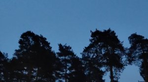 Плохими быть хорошо или не так уж и здорово как думаете вы