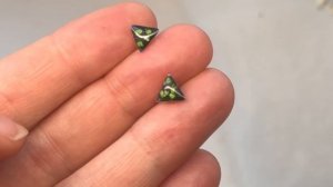 copy_F4258E15-5CFE-4755-B5CA-09BD029EEDA4