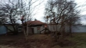 Уборка в огороде с помошницей! Юг России 🌴