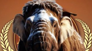 Дружина "Альтаир" поздравляет Мишу Мамонтова с юбилеем!