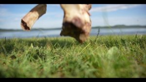 САГААЛГАН 2026. УРДА-АГА глазами 41 выпуска