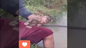 Видео от МЭН - Мне Это Нравится