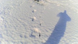 Рыбалка на щуку на жерлицы в Верх бобровке на запруде (√3)