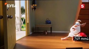 Окончание буба и начало прятки бабочек (Пятый канал 05.01.2023)