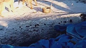 Домашние дела.