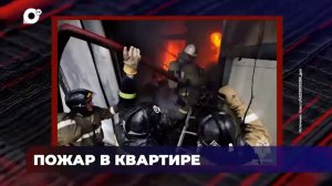 В порядке / Статистика происшествий / Пожар в квартире / 24.02.26