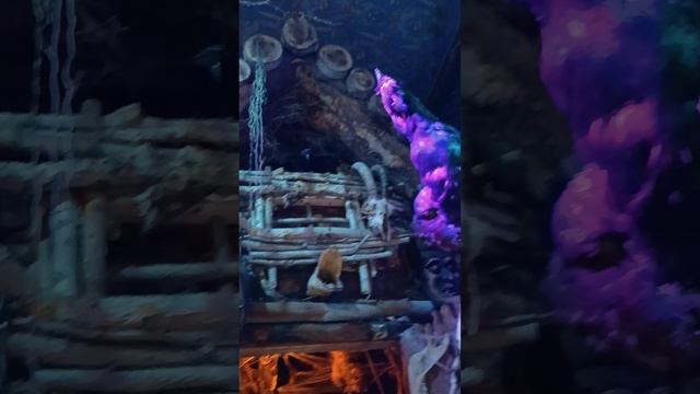 Осбобняк небылицы. Санкт-Петепбург. ул. Некрасова, 14.