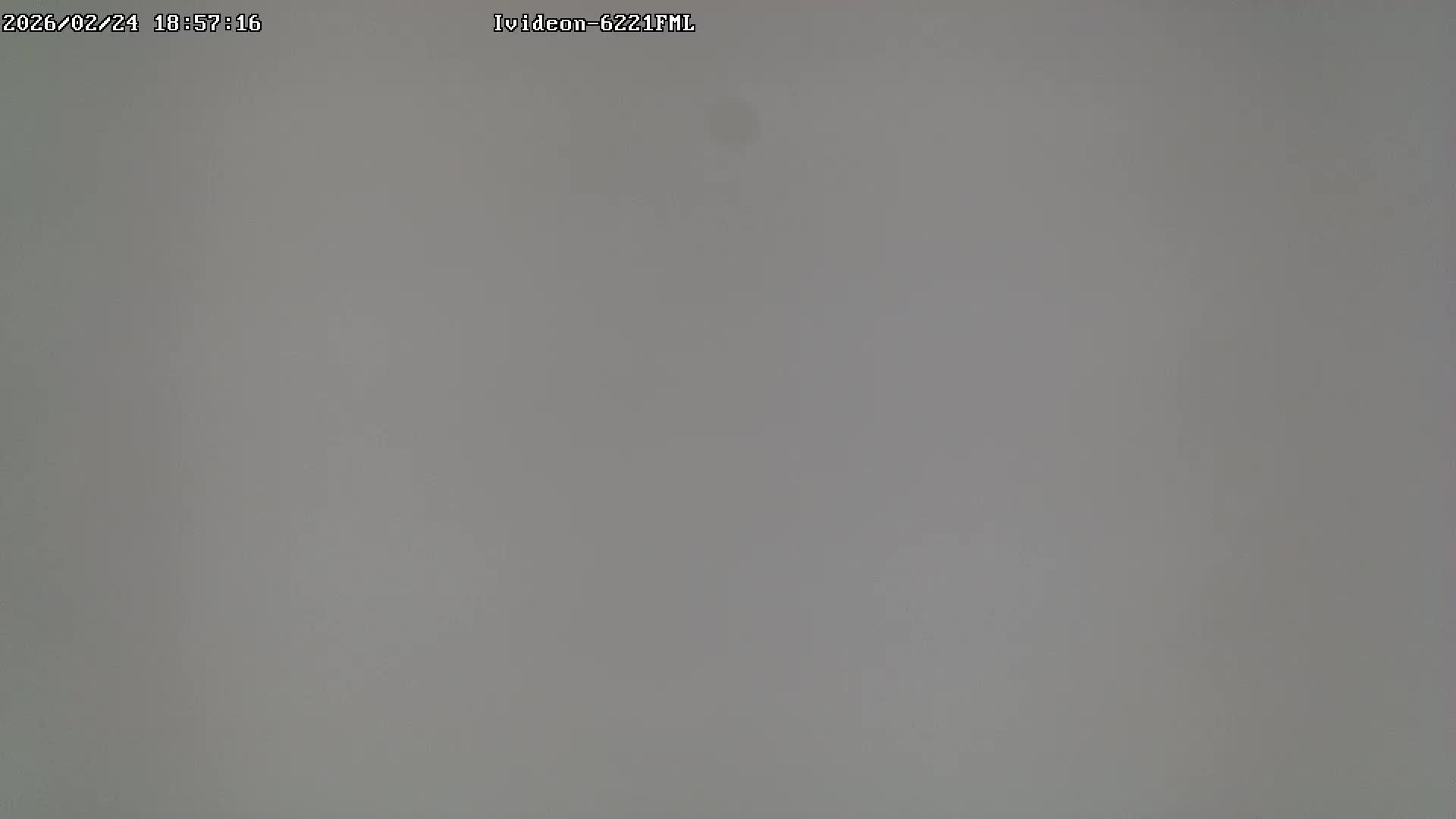 LIVE: channel43489494 смотреть онлайн