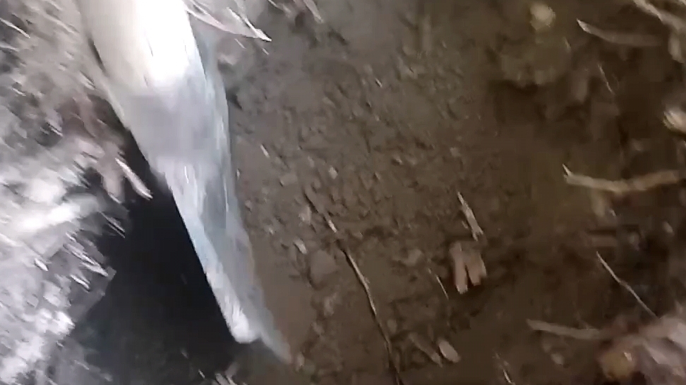 Трудно накопать железо.