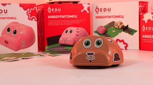 Киберпитомец. Программирование виртуального робота