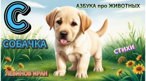 С. Собачка. Алфавит Азбука Просто. Мир животных и птиц в алфавитном порядке. Поэт Левинов Иран