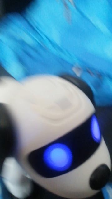 И на уроке у нас собачкка