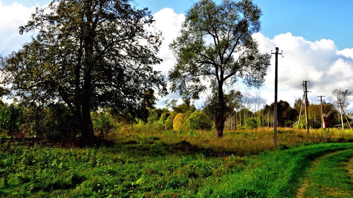 Опять в пути...