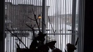 Через тысячу лет после любви _ Просто чужие