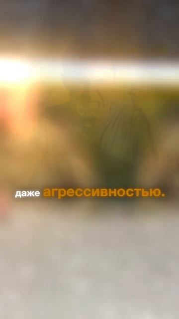 Как распознать ПТСР у близкого?