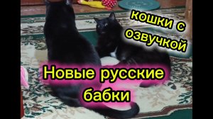 КОШКИ С ОЗВУЧКОЙ.