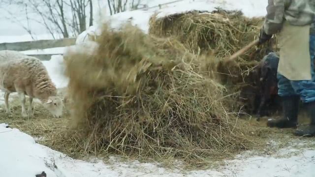 УСАДЬБА ВСТРЕЧАЕТ ГОСТЕЙ ｜ ПЕЧЕМ БЛИНЫ смотреть онлайн