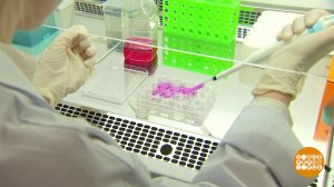 Биотехнологии: будущее - уже сегодня! Доброе утро. Фрагмент выпуска от 24.02.2026