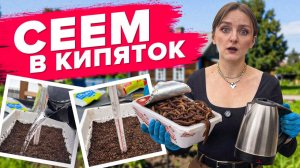 СЕЕМ В КИПЯТОК
