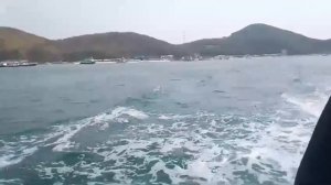 ТАЙЛАНД. ОТДЫХ В ПАТТАЙЕ. БОРОЗДИМ НА ПАРОМЕ СИАМСКИЙ ЗАЛИВ