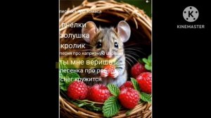 реклама бридж тв (зима 2026)