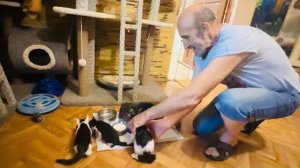Влад СЧАСТЛИВЫЙ несет знакомиться с новенькими котятами всех своих усато-хвостатых детей)))