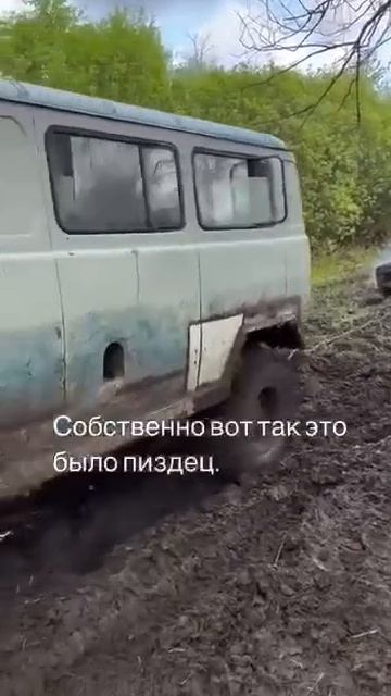 Сам виноват?