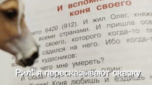 я хз что это