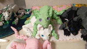 Вечерний влог с котами/ВОЗВРАЩЕНИЕ КАСПЕРА ДОМОЙ!!!!!