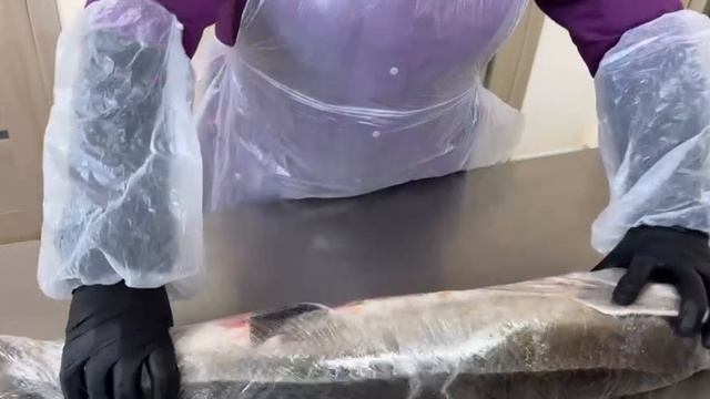 Осетр оптом.