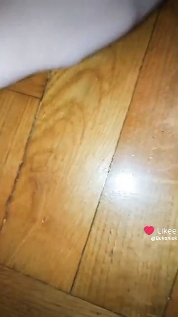 1000016332.mp4 смотреть онлайн