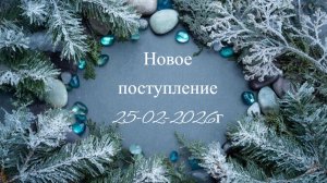 Новое поступление 25-02-2026
