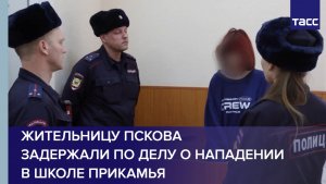 Жительницу Пскова задержали по делу о нападении в школе Прикамья