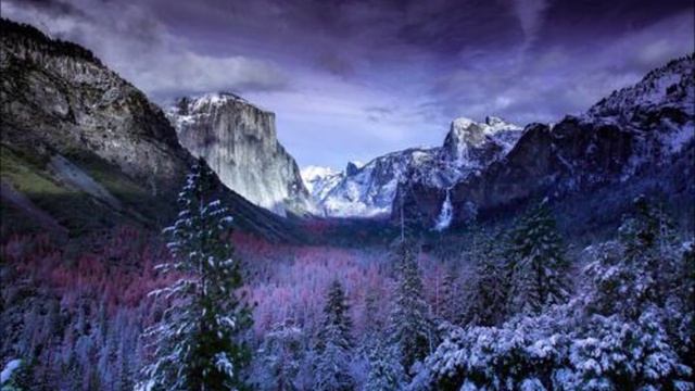 Подруга украла мою работу и выдала ее за свою