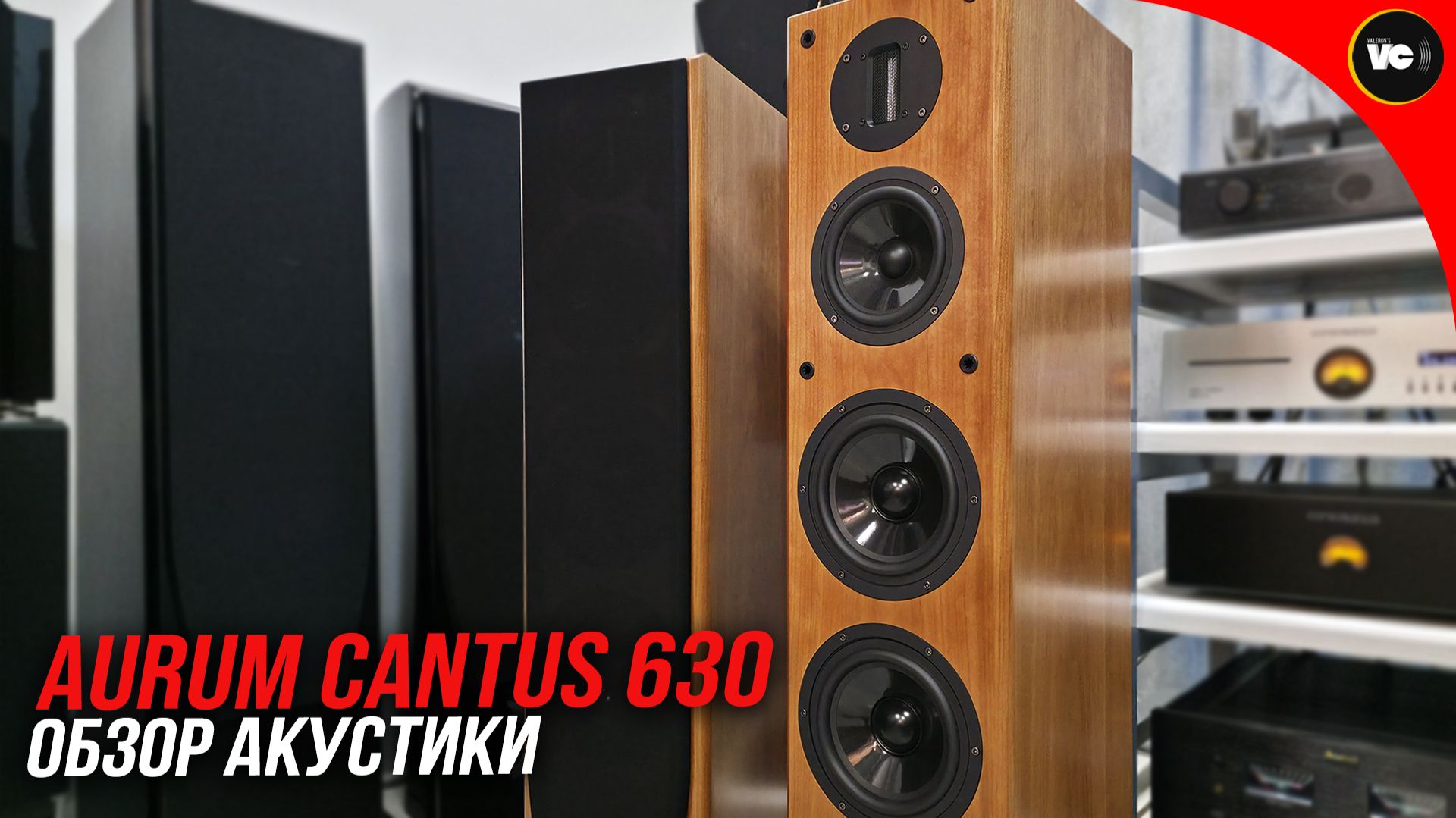 Обзор акустики Aurum Cantus 630 смотреть онлайн