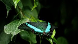 О вечности Христа и Его миссии