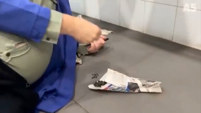 новая школа 1 часть