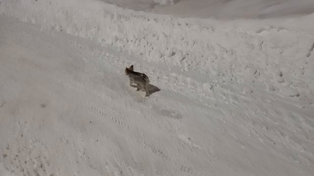 Фея гуляет без одежды 🥰