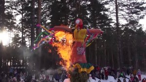 Гори, гори ясно: в Заельцовском парке торжественно сожгли чучело Масленицы вопреки морозам